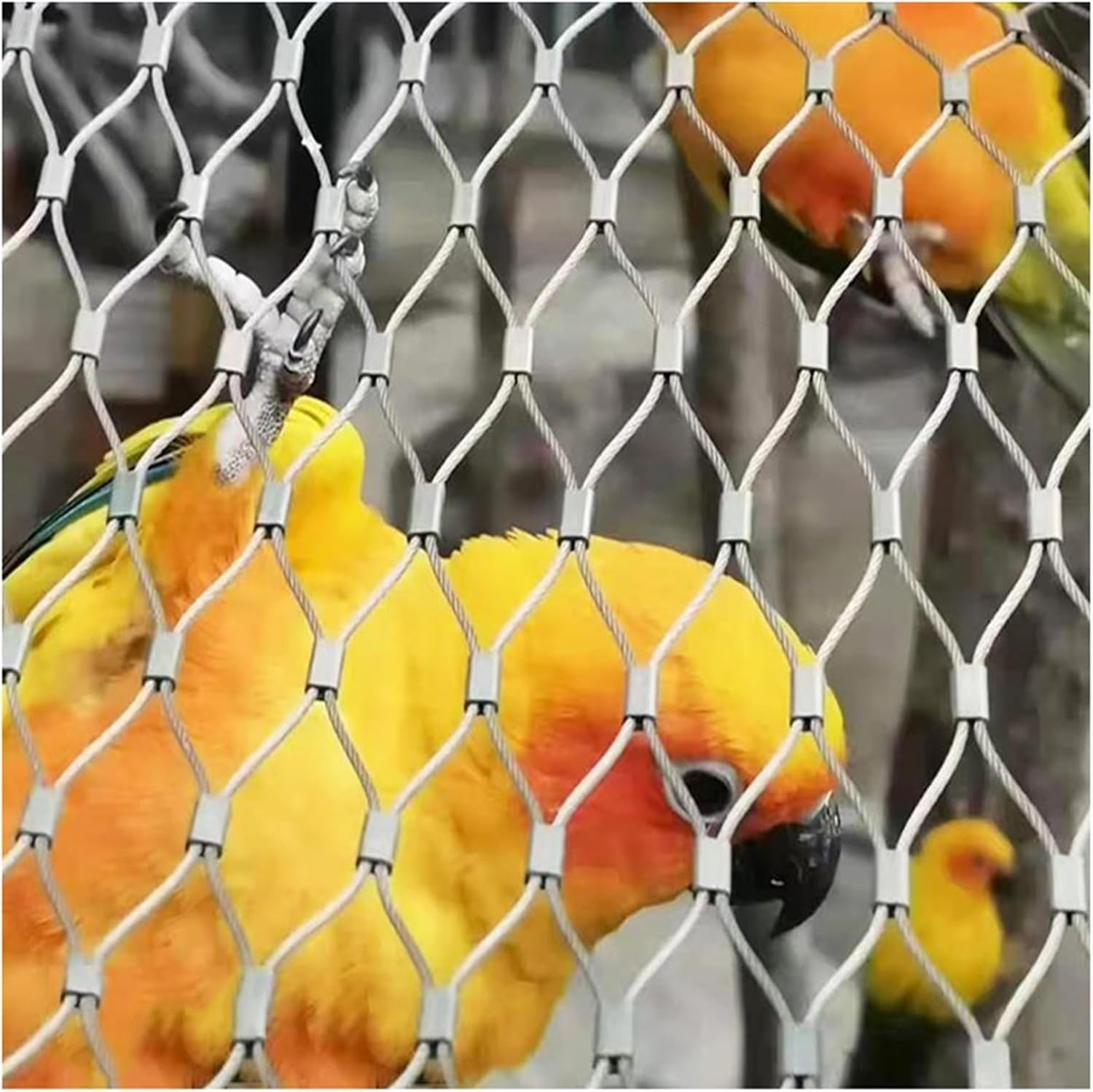 Maille de câble en acier de 10m pour sécuriser une aire de jeux de jardin