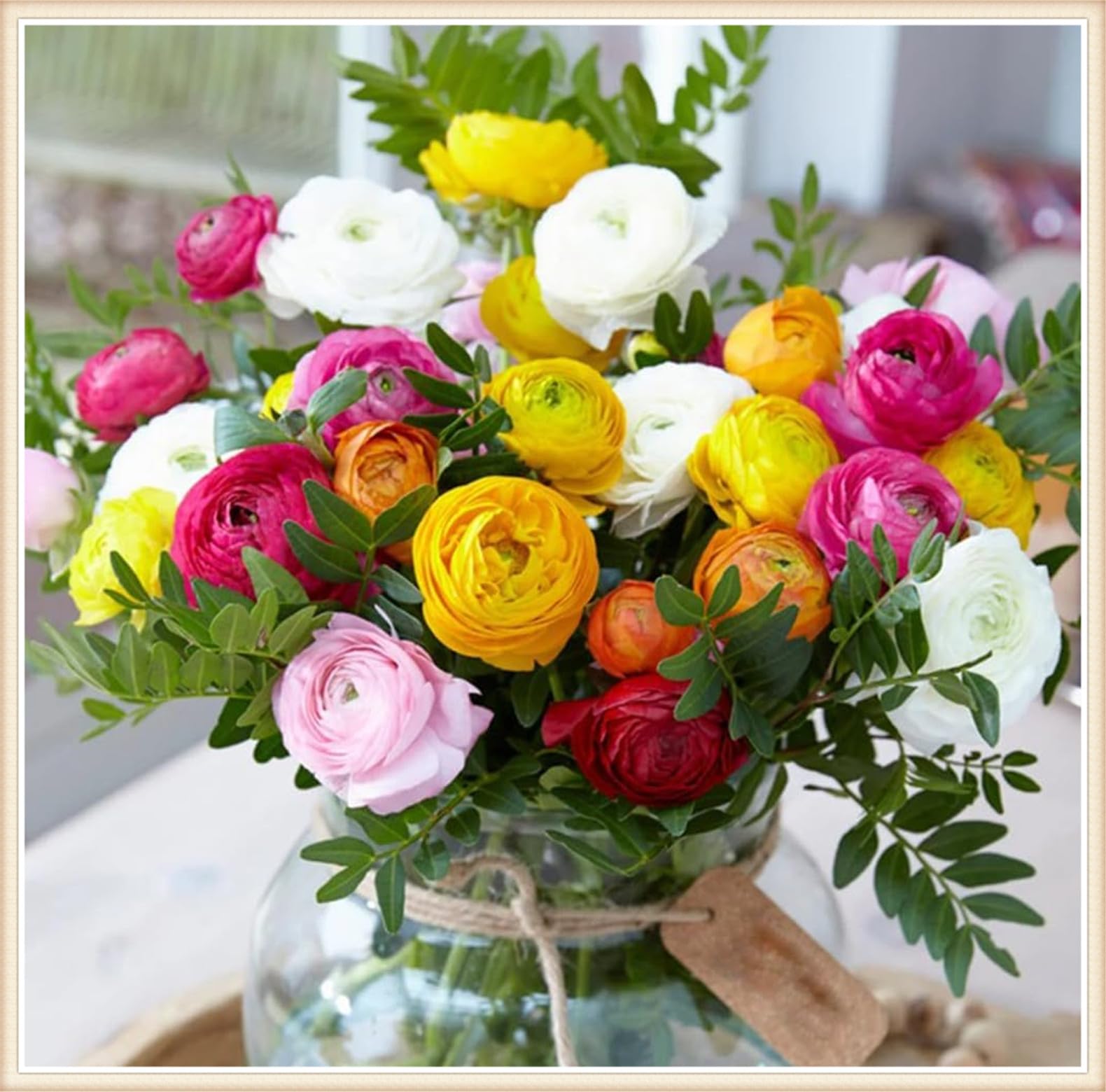 Rhizoma Ranunculus-Ranunculus bulboso-Bulbi di Ranuncoli-Grazioso-Elegante-Delicato-Naturale-Sottile-Robusto-20 Bulbi
