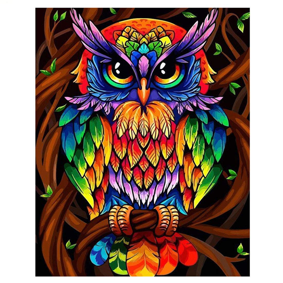 Paint by Numbers Kit Owl Bird Framed Unframed Painting for Adults Beginners Kids (with Wooden Framed, Colorful Owl)