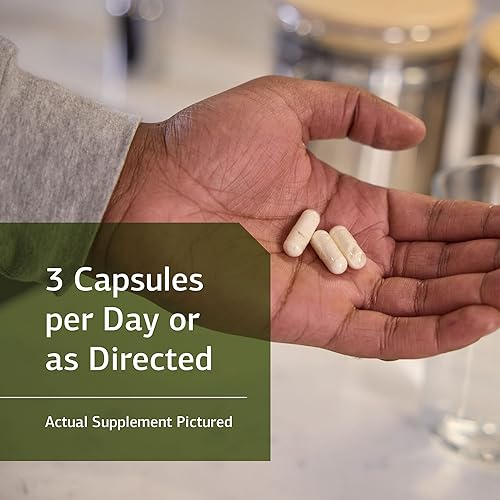 Miniatura 3 de ProSynbiotic de proceso estándar  Alimento integral intestinal, apoyo inmunológico, digestión y salud digestiva con bifidobacterias, raíz de