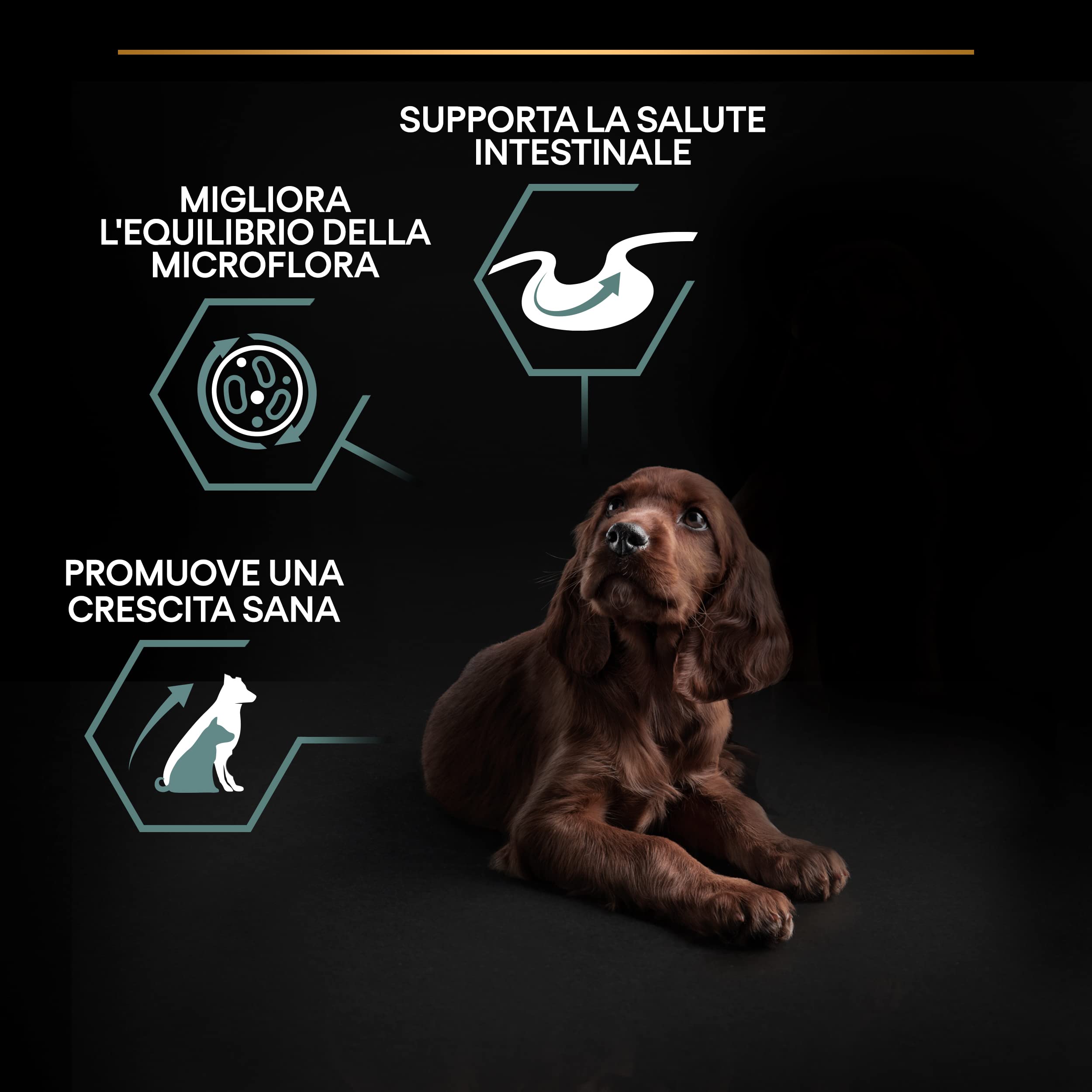PURINA PRO PLAN Sensitive Digestion Large Athletic Crocchette per Cani Cuccioli con Agnello Sacco da 12kg