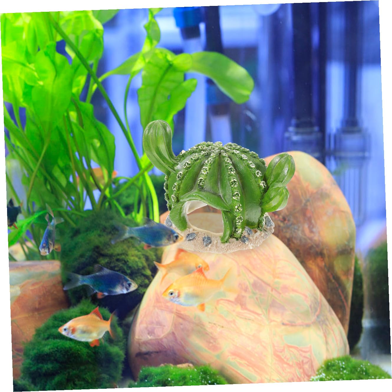 SUPVOX 4 Pièces Ornements D'Aménagement Paysager D'Aquarium Terrarium pour Reptiles Lampe Chauffante pour Reptiles Lézard Terrarium Tortue Accessoires D'Enceinte Gecko Bricolage Cachette