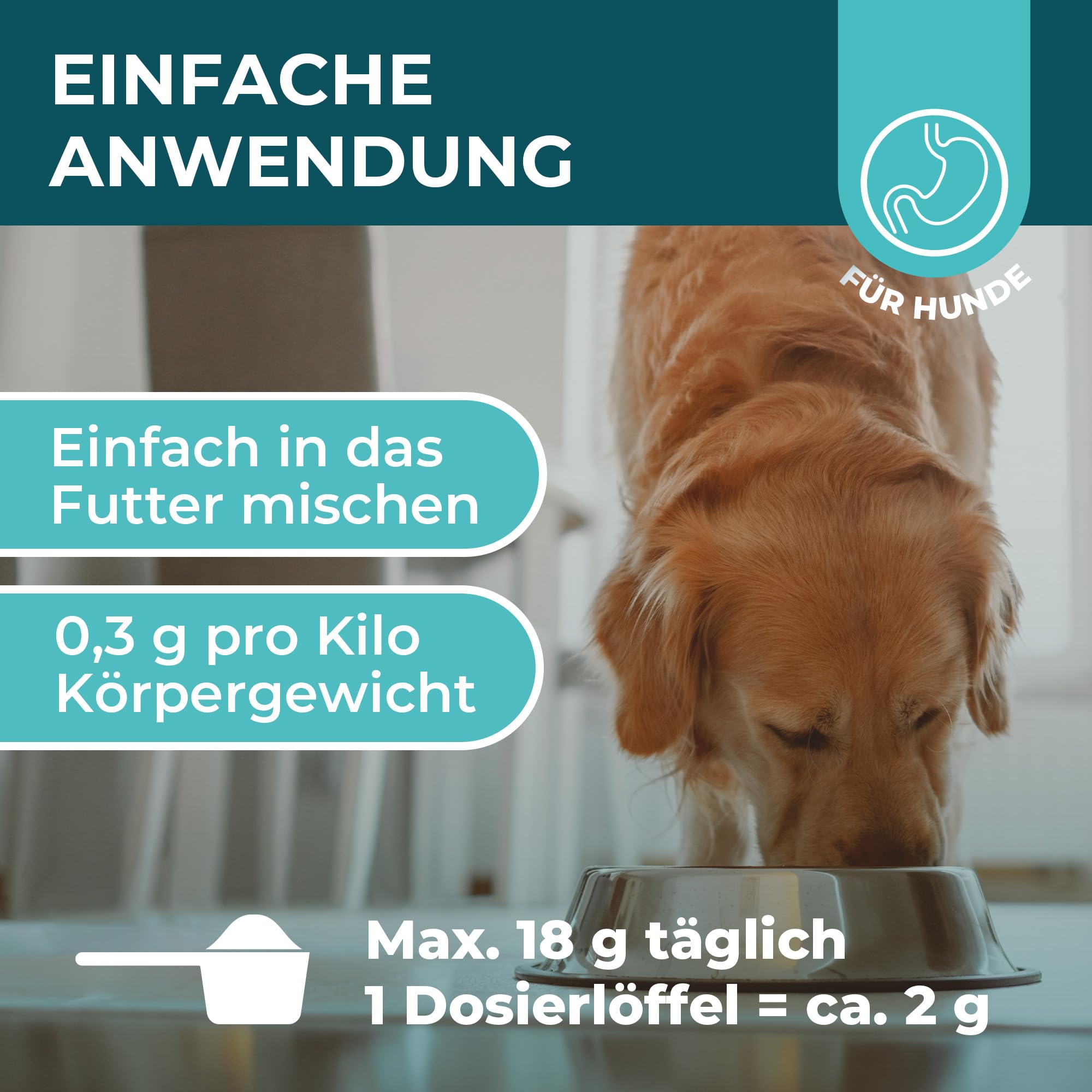 Magen-Darm Pulver für Hunde, 250g - Präbiotika & Probitika Hund zur Darmsanierung - Unterstützt bei Durchfall, Verdauung und dem Darmflora Aufbau - praktisch als Futtertopping - mit Flohsamenschalen