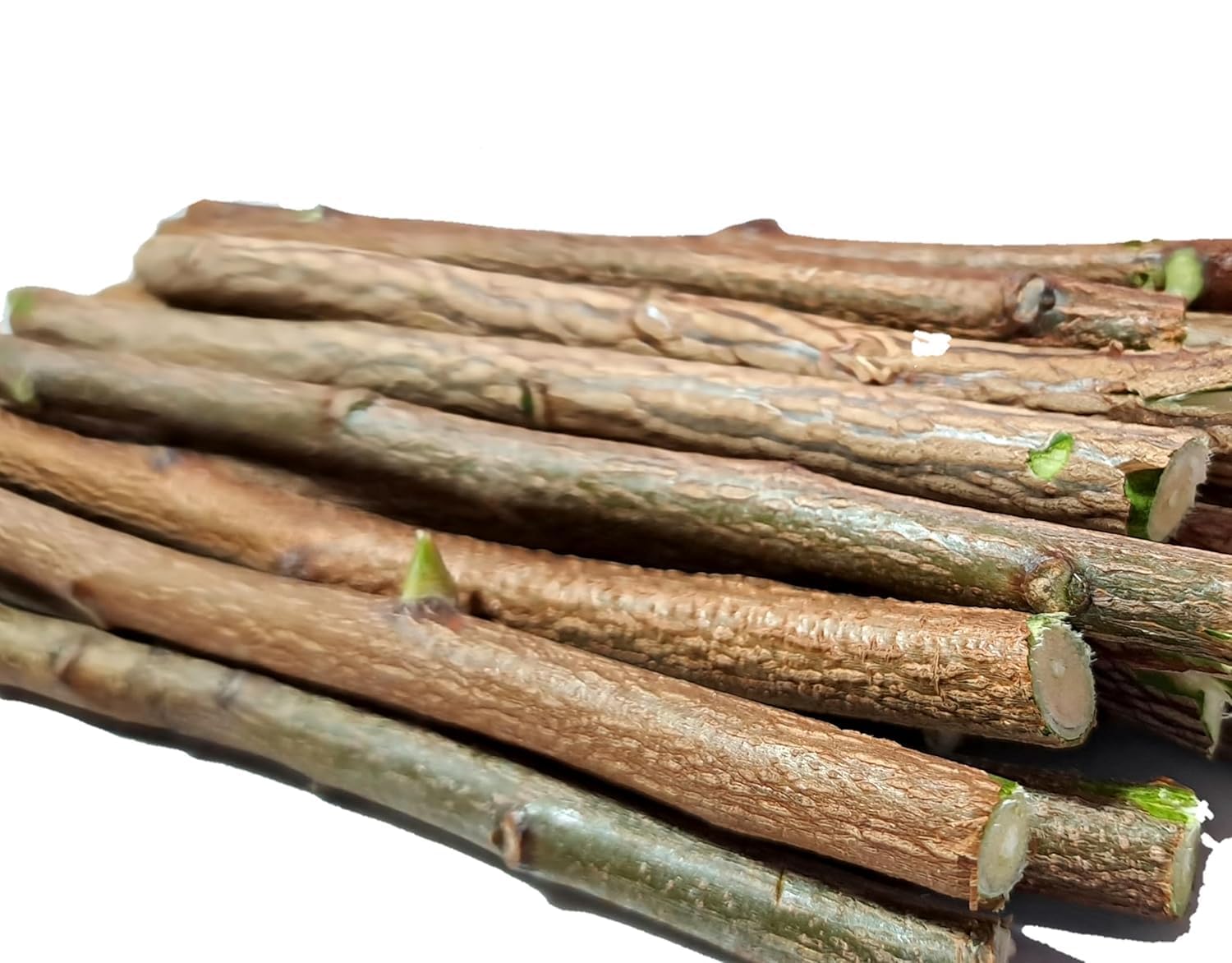 TEJASH Ayurvedic Natural Organic shisham Datun twigs(9 inch Sticks) (Pack of 20) Ayurvedic tree Datun sticks Free)-picture-31