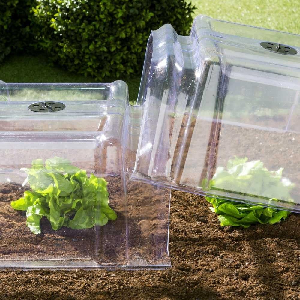 TERRE JARDIN - Tunnel de Forçage, 86 x 38 x 21 cm - Tunnel de Forçage Rigide, Transparent, Modulable, avec 6 Sardines de Fixation - Mini Serre Rigide Potager de Jardin avec Système de Ventilation