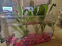 Review Image by Momiof2 Momiof2