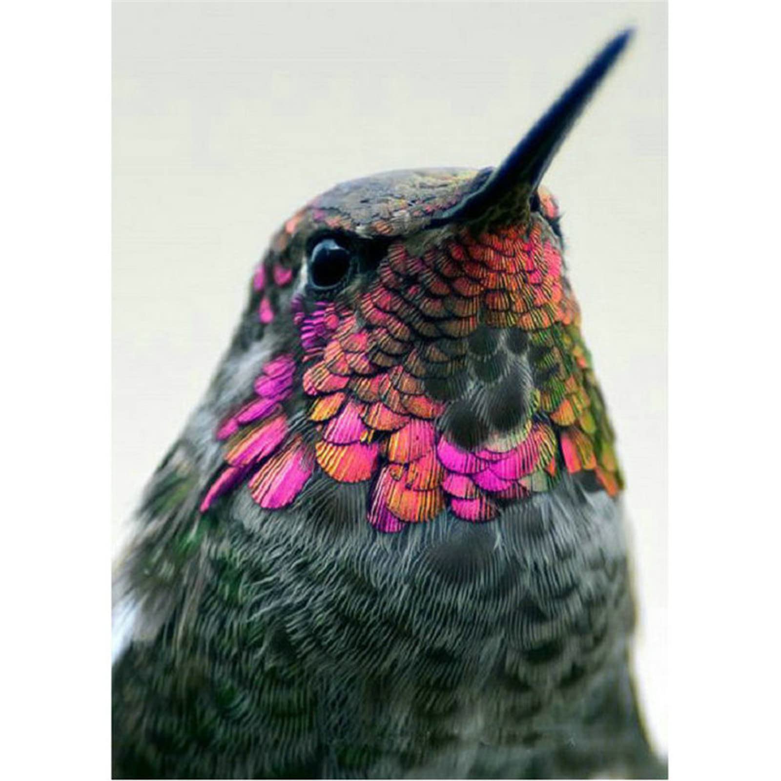 Kit di pittura a diamante per adulti Colibrì Kit fai da te di arte a diamante 5D Colibrì Arte murale Dipinti a punti completi Diamanti Gemme Regalo d'arte - Italia