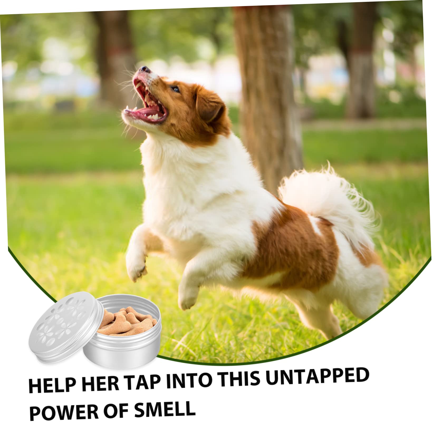 10 Latas de Aluminio Resistentes a Mordeduras y Abrasiones, Capacidad 80ml, Caja Portátil para Entrenamiento de Olfato de Perros para Adiestramiento Canino