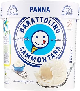 Barattolino Sammontana Gelato alla Panna Barattolino 500g