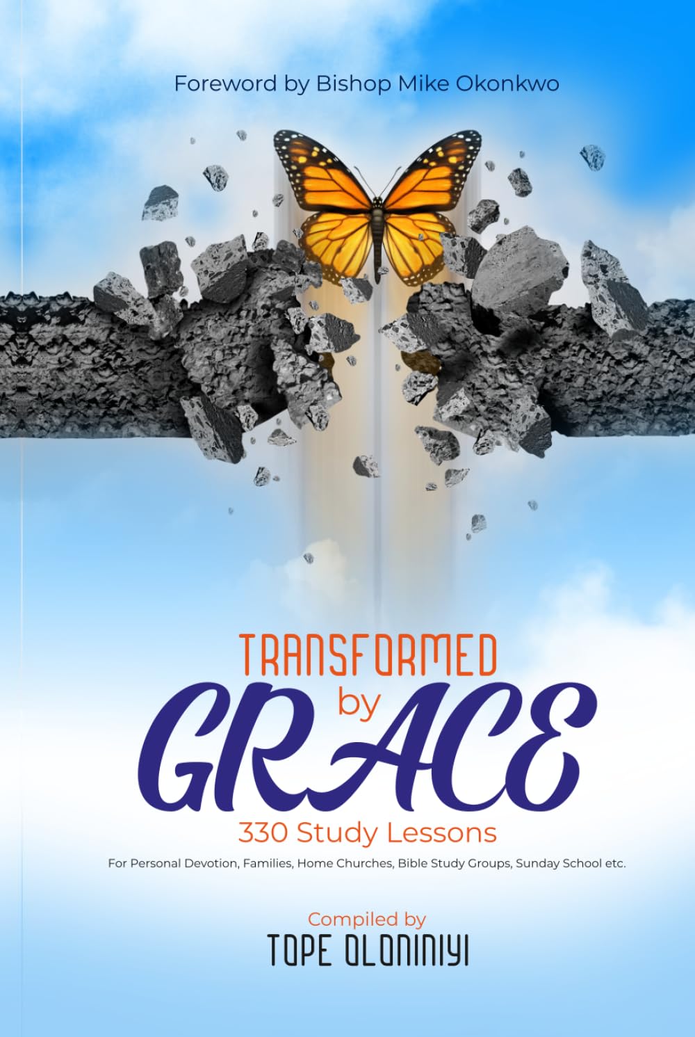 TRANSFORMED BY GRACE: 330 Study Lessons For Personal Devotion, Families, Home Churches, Bible Study Groups, Sunday School etc.