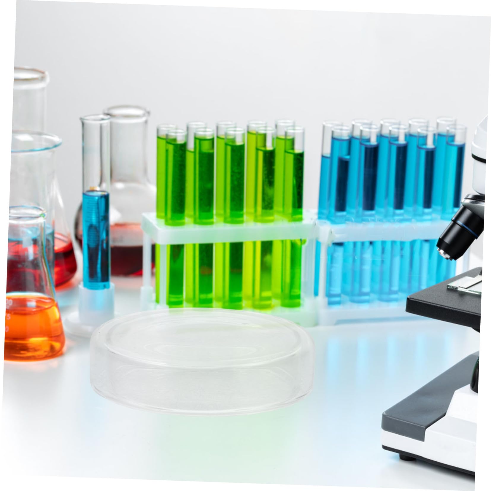 SOLUSTRE 6pezzi Piastre di Petri con Coperchio per Coltura Cellulare Piastre di Coltura in Agar per Funghi di Petri Trasparenti da Laboratorio