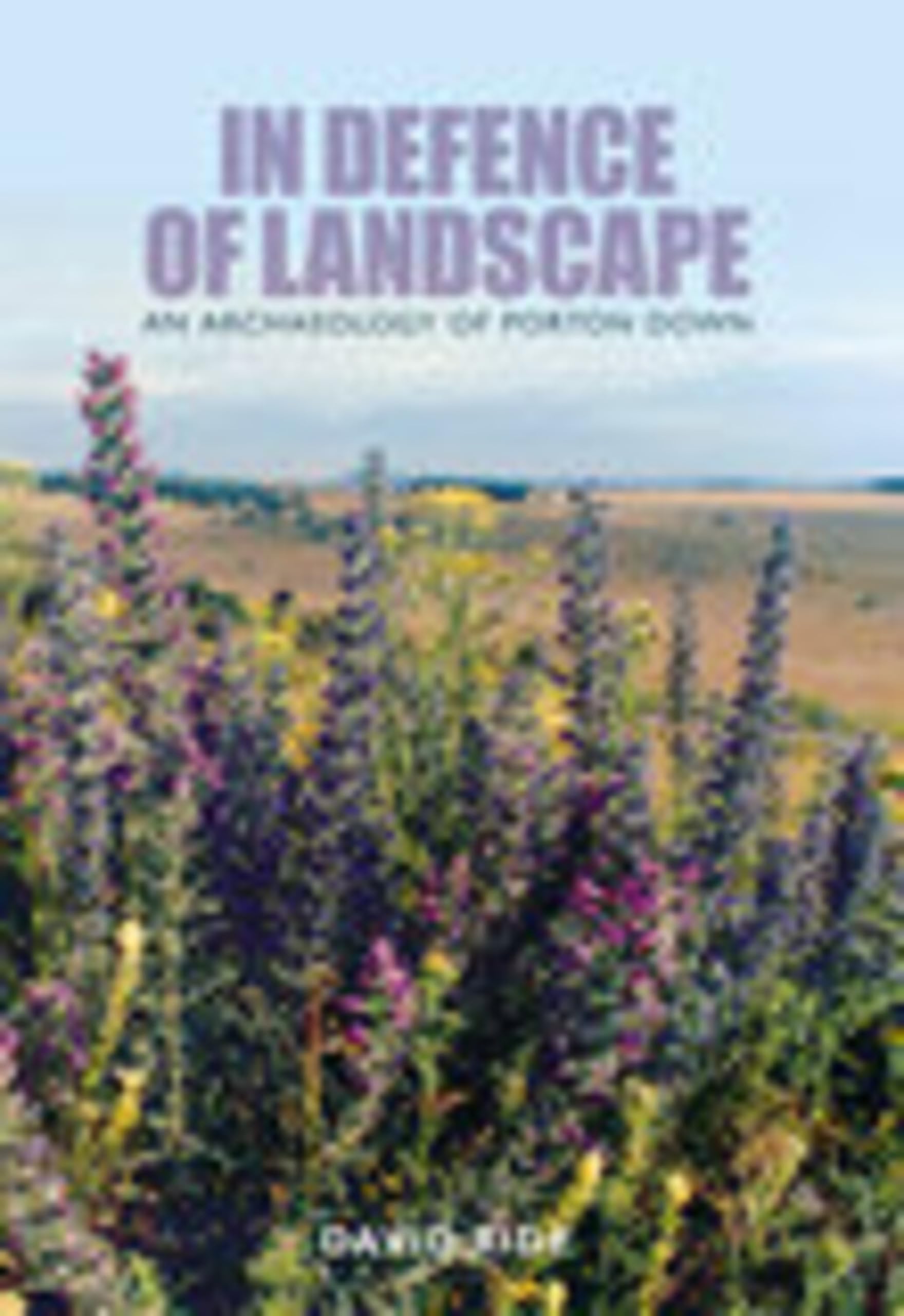 In Defence of Landscape : An Archaeology of Porton Down (Revealing History)