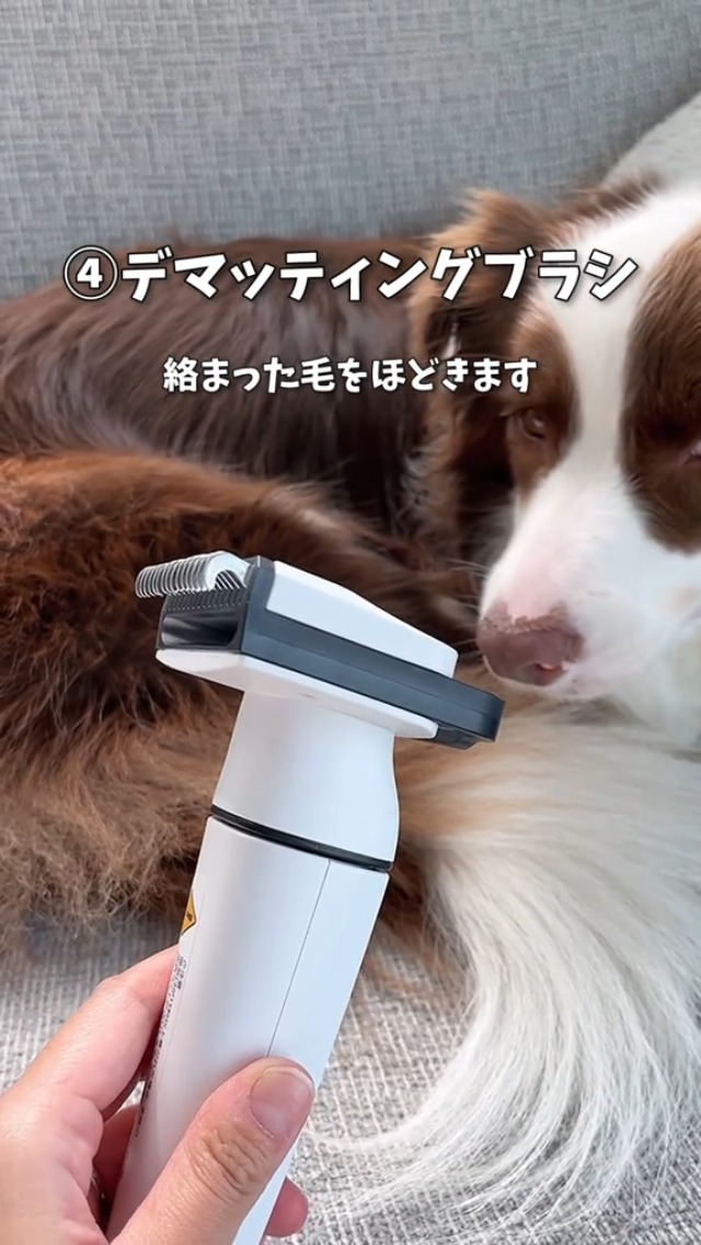 本日削除★ペットバリカン　グルーミング　ペット掃除機　コードレス　犬　5in1 Amazon | Petaboo コードレス犬 猫の毛バリカン掃除機 【13000Pa 40dB