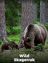 A lange sohne back Clearance