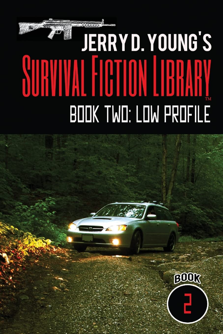 Jerry D. Young's Survival Fiction Library: Book Two: Low Profile