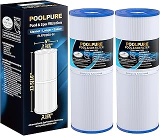 POOLPURE PLFPRB50-IN Whirlpool Filter Ersatz für Unicel C-4950 2er-Pack