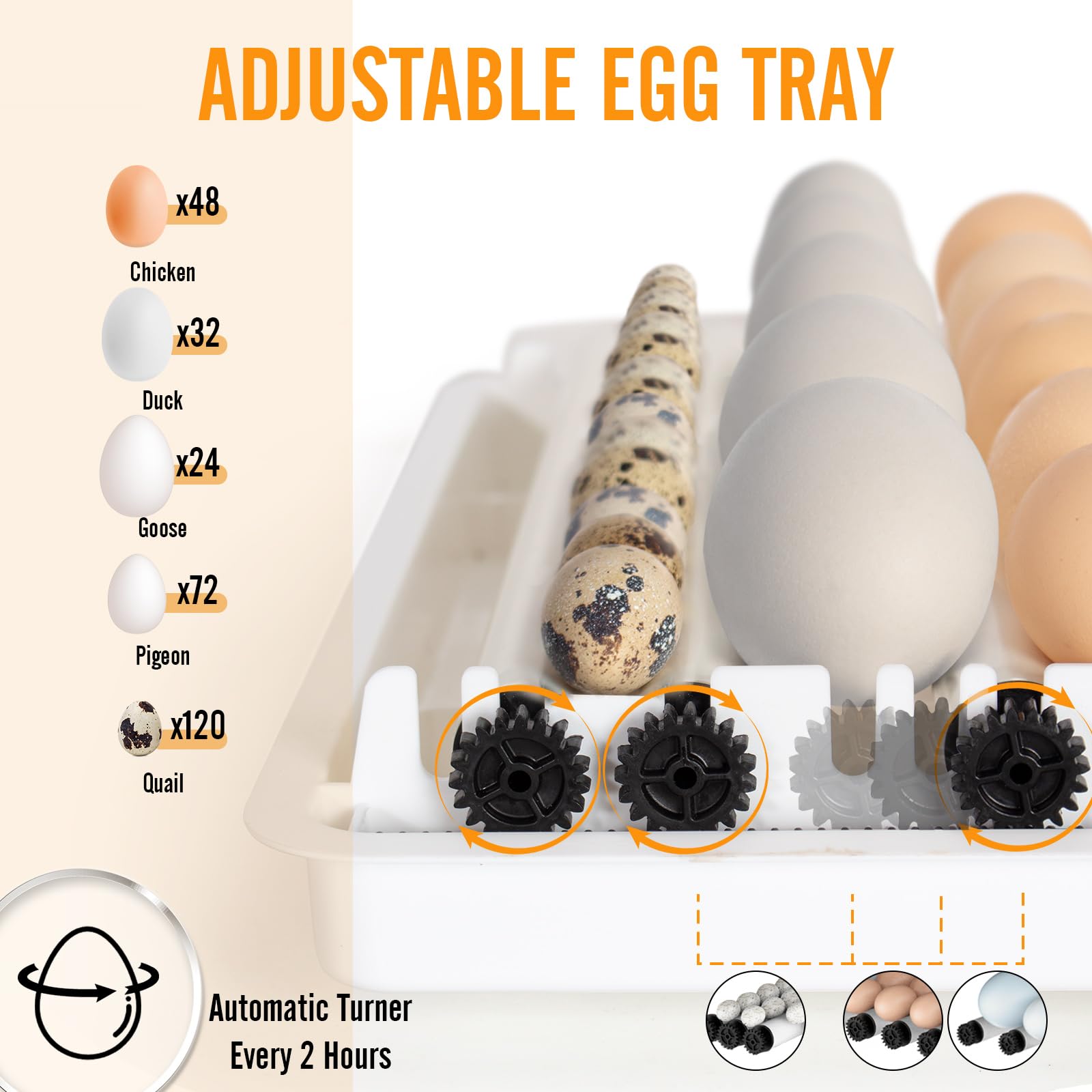 Todeco Couveuse Automatique 48 Œufs, Incubateur avec Température Réglable | Retournement Automatique, Humidification Automatique, Mire-œufs LED, Double Alimentation Électrique, pour Volailles