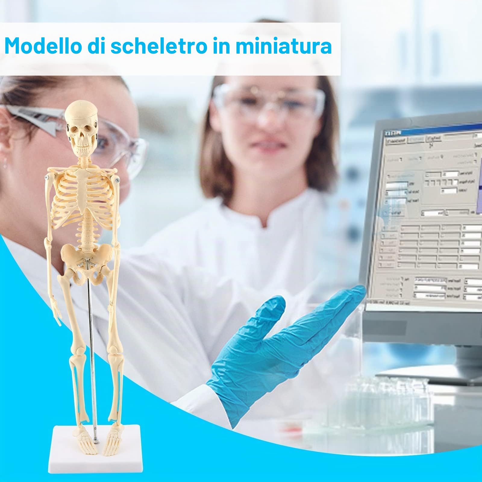 GAESHOW Modello Anatomico Scheletro, Mini Modello di Scheletro Umano da 45 cm, Scheletro Anatomico in Miniatura con Braccio e Gambe mobili su Base plastica, per l'apprendimento Medico