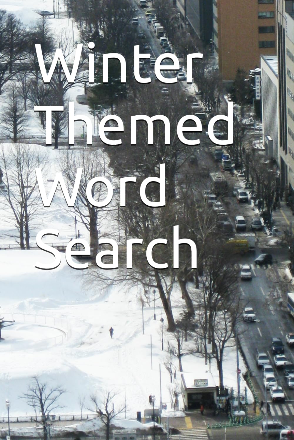 Winter Themed Word Search