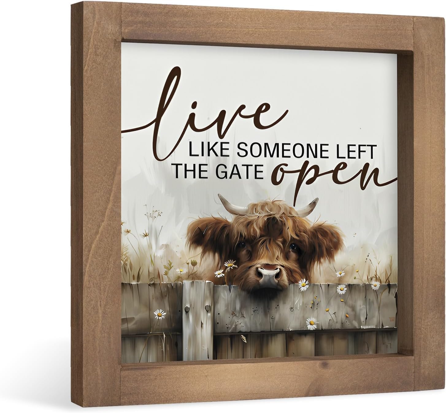Live Like Someone Left the Gate Open Highland Cow Decor Funny Office Gifts Vintage Western Decor for Home Table Shelf Indoor Office 8x8 Inch