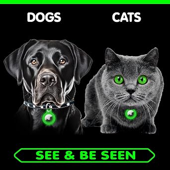 Glow in the Dark AirTag Holder 2 Pack Silicone AirTag Keychain with Carabiner Luminous Air Tag Case for Keys, Kids Backpacks & Bags Stocking Stuffer Gift