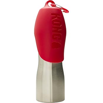 cockatiel bird for sale