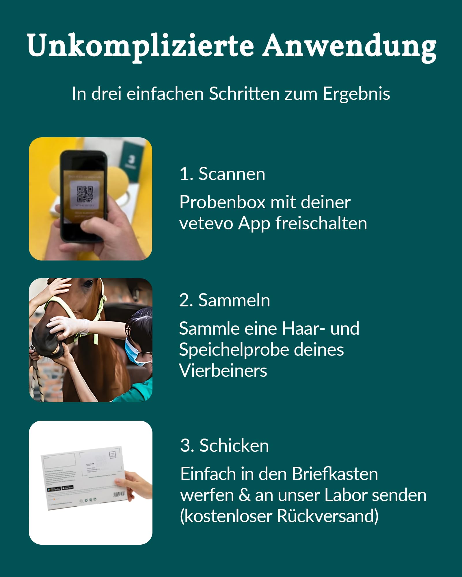 vetevo Allergietest Plus Pferd, Unverträglichkeitstest Pferd, bei tränenden Augen, Haarausfall, Husten & Atemproblemen, 290+ Unverträglichkeiten