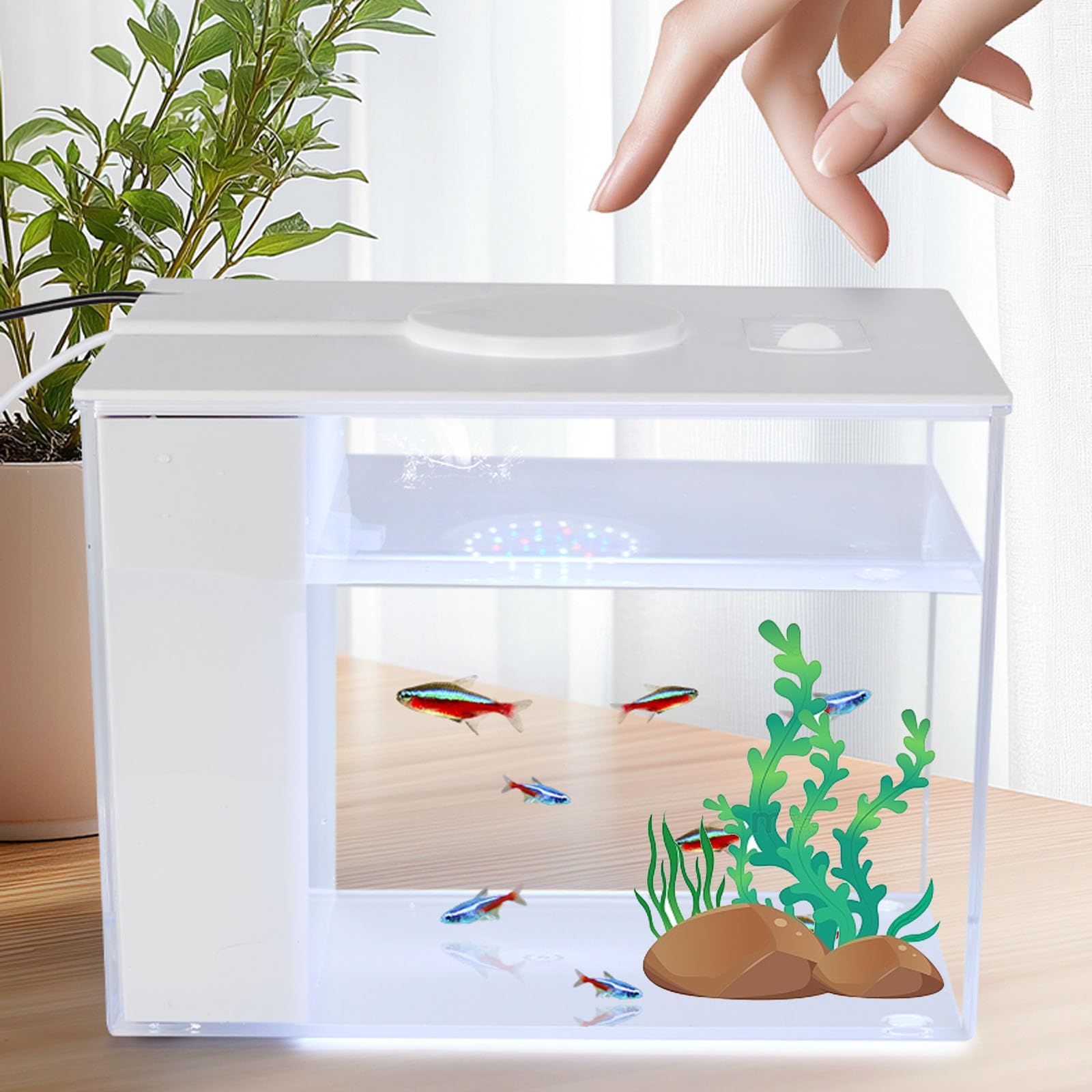 Mini Fish Tank Betta Aquarium Starter Kits Multifunctional Desktop LED Aquarium with Switch Button White, 1 Gallon