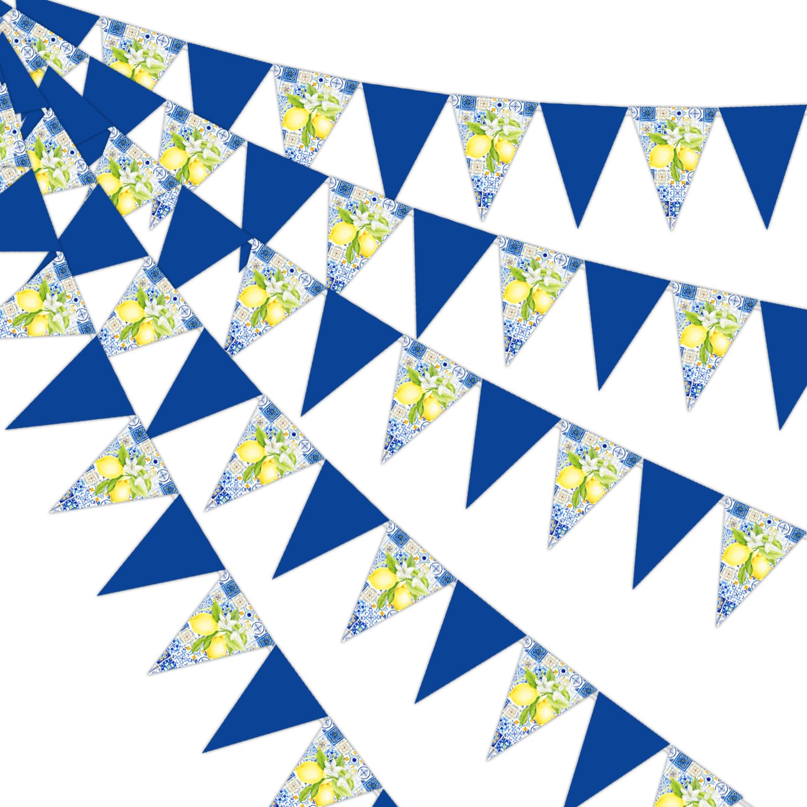 Blue and Lemon Party Decorations - 3pcs Lemon Bunting Banners, Lemonade Hanging Triangle Banner Garland for Lemon Wedding Engagement Bridal Shower Bachelorette Baby Shower Birthday Party