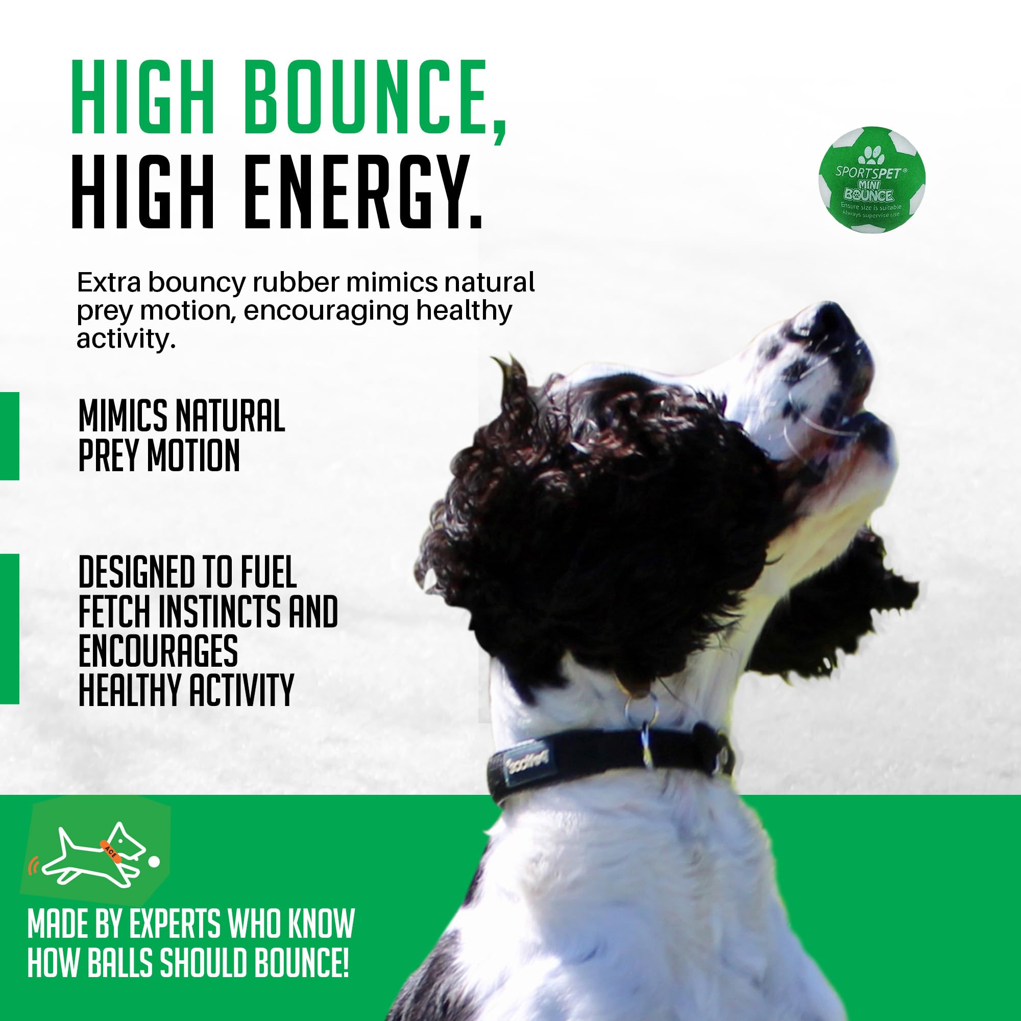 SPORTSPET x Celtic Mini Bounce Dog Balls, Green, White, 45mm - Image 4