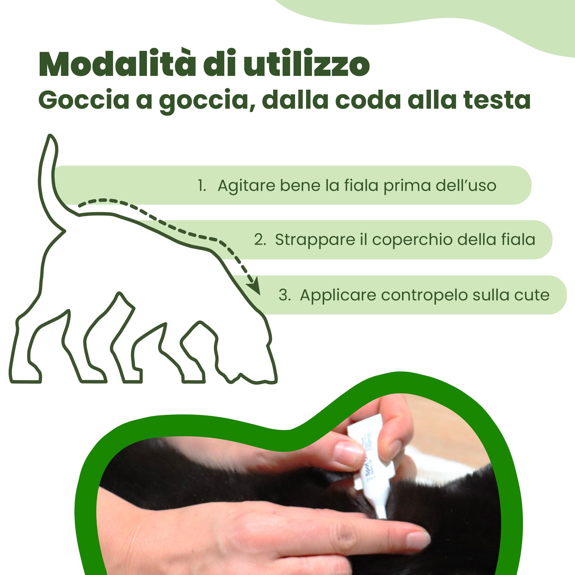 CAMON | Spot-On Protection Cane (0-10kg), 5 Fiale da 3ml con Olio di Neem, Naturale e Efficace