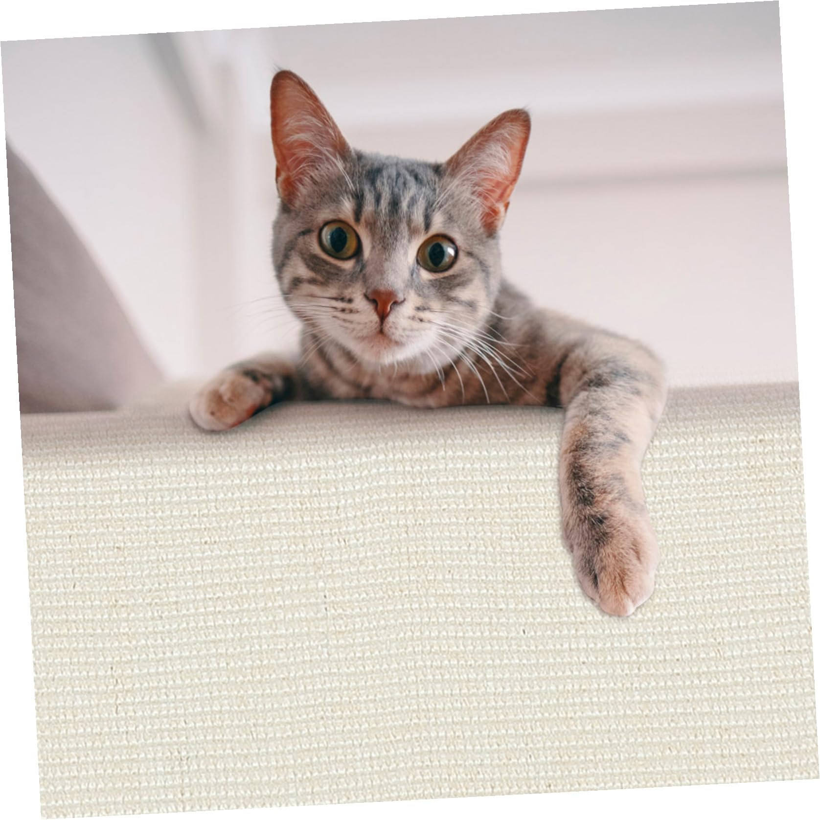 Protector contra Arañazos para Sofá y Gatos, Funda de Reposabrazos de Sisal Resistente y Entretenida para Uso en Casa U Oficina