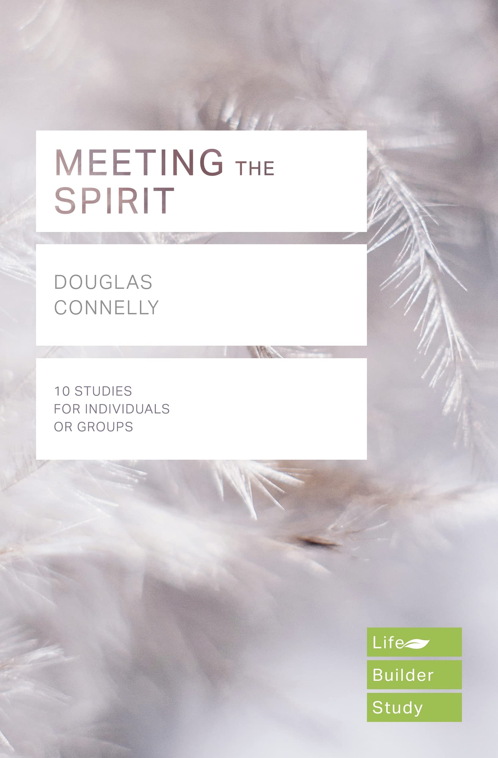 Meeting the Spirit (Lifebuilder Study Guides) (Lifebuilder Bible Study Guides)