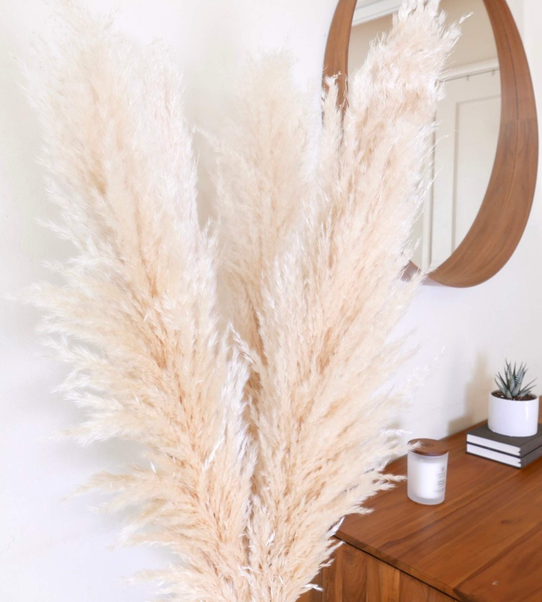 Buy 31Mod Pampas Grass Large with Tall Stems—3 Stems Large Pampas Grass