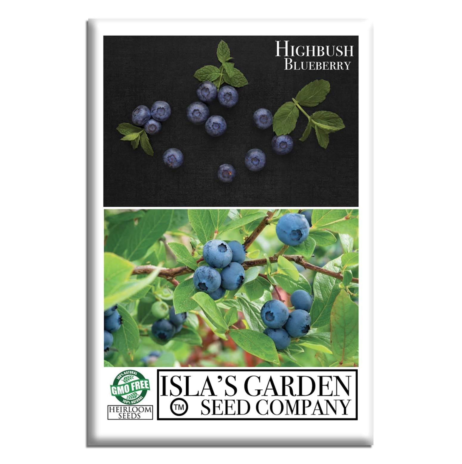 Highbush Blueberry Seeds (Northern & Southern Varieties) – 300+ Non-GMO & Heirloom Seeds, Vaccinium corymbosum, Sweet Perennial Shrub Edible Landscapes, by Isla’s Garden Seeds, Gift Idea Home Gardens