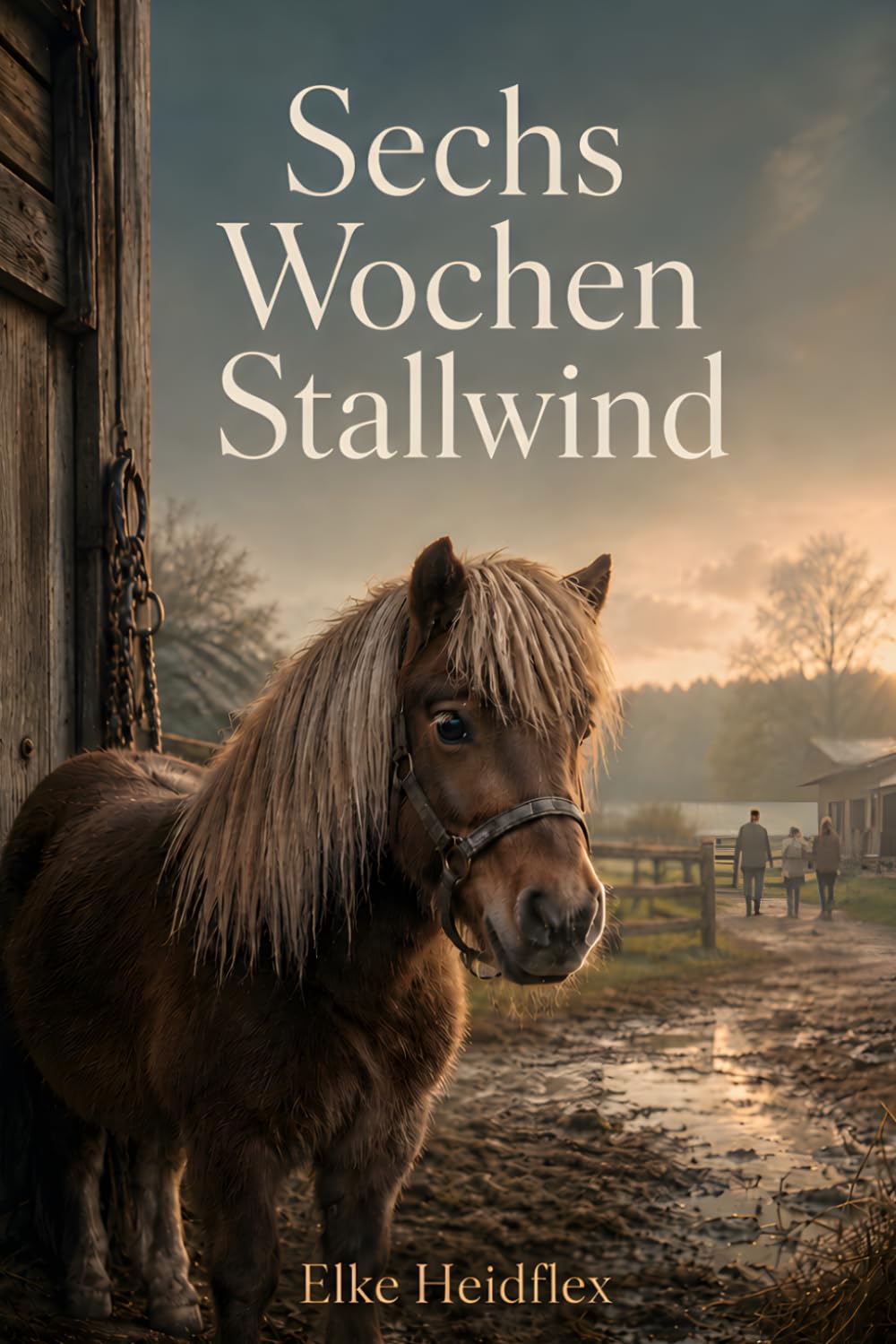 Sechs Wochen Stallwind: Ein Liebesroman mit Pferden über Angst, Vertrauen und zweite Chancen