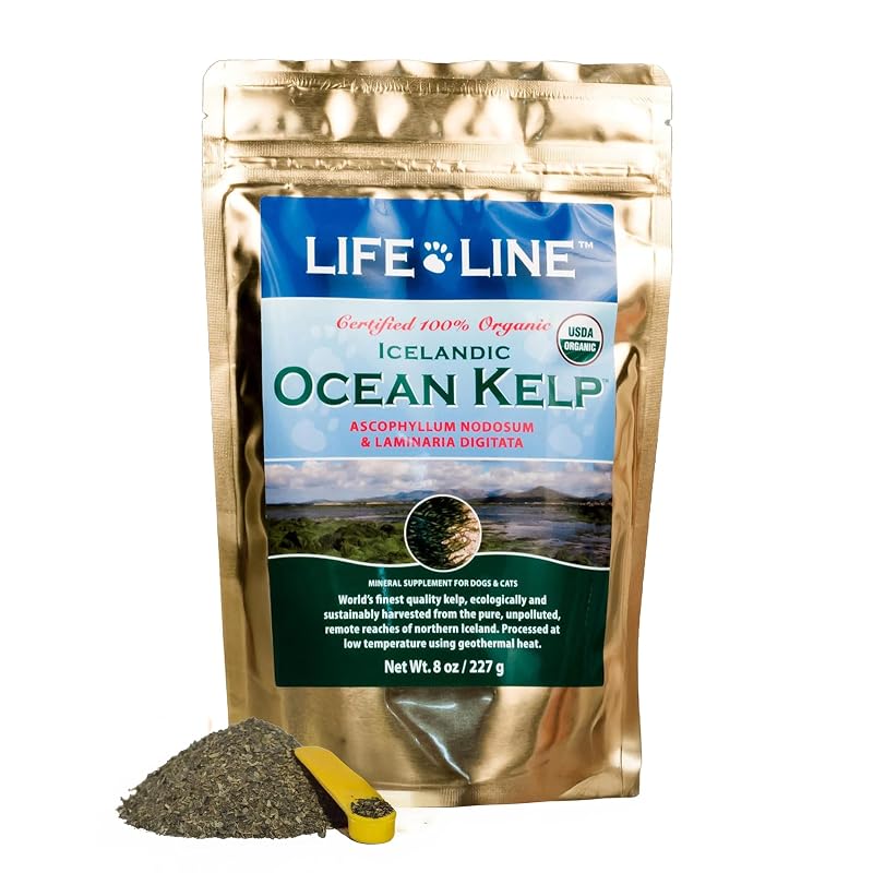 Suplemento de kelp em pó para cães, gatos, equinos e animais de criação Life Line Pet Nutrition – Iodo natural, 227 g