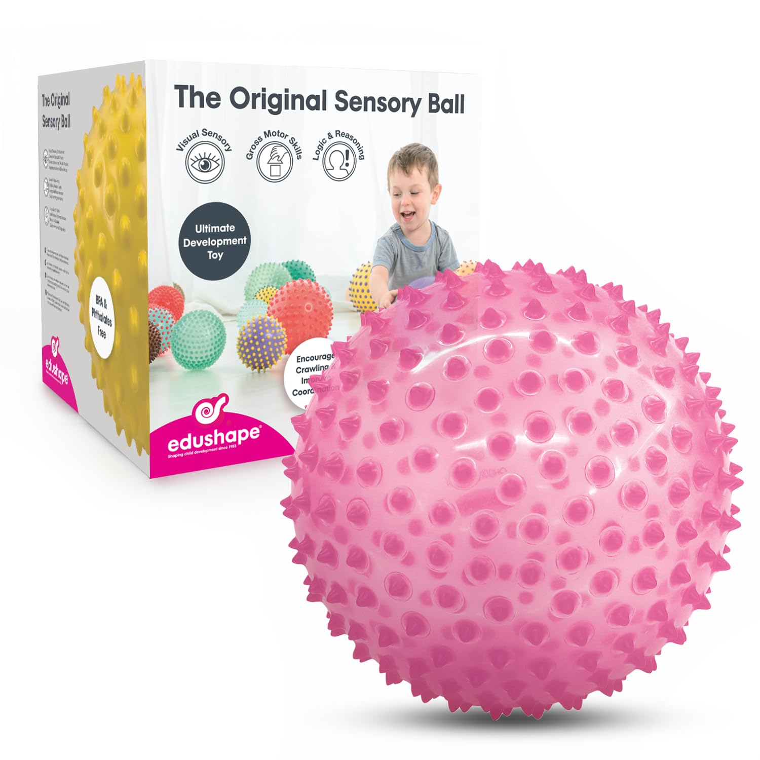 Edushape Sensory Ball for Baby - 7” Baby Ball That Helps Enhance Gross Motor Skills for Kids Aged 6 Months & Up - Pack of 1 Vibrant Colorful and Unique Textured Ball for Baby