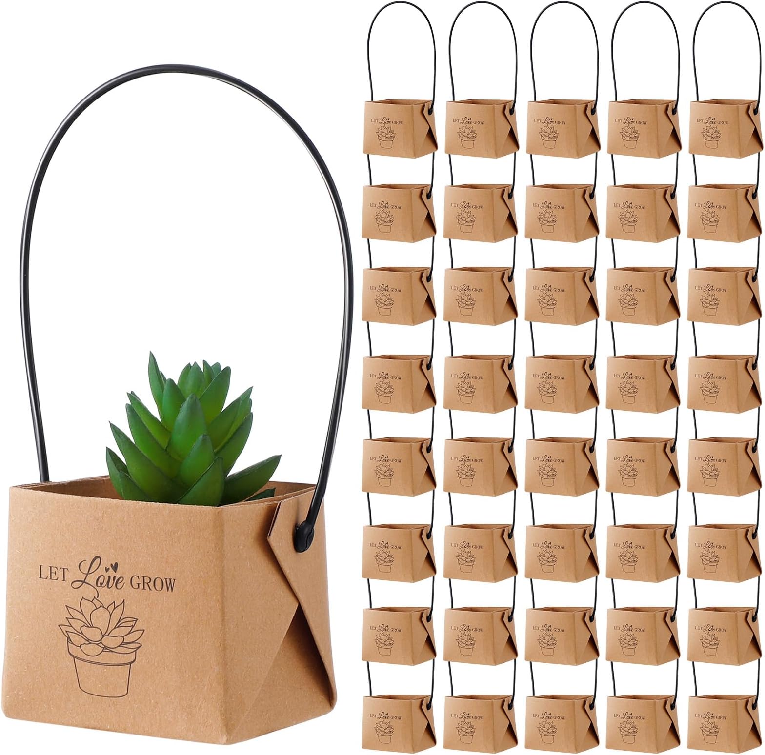 Fulmoon 40 Pcs Let Love Grow Succulents Wraps Wedding Favors Bulk with Plastic Handles Wedding Gifts Wraps Bags Kraft Paper Succulent Gift Box Baskets Party Favors for Baby Shower (Brown)