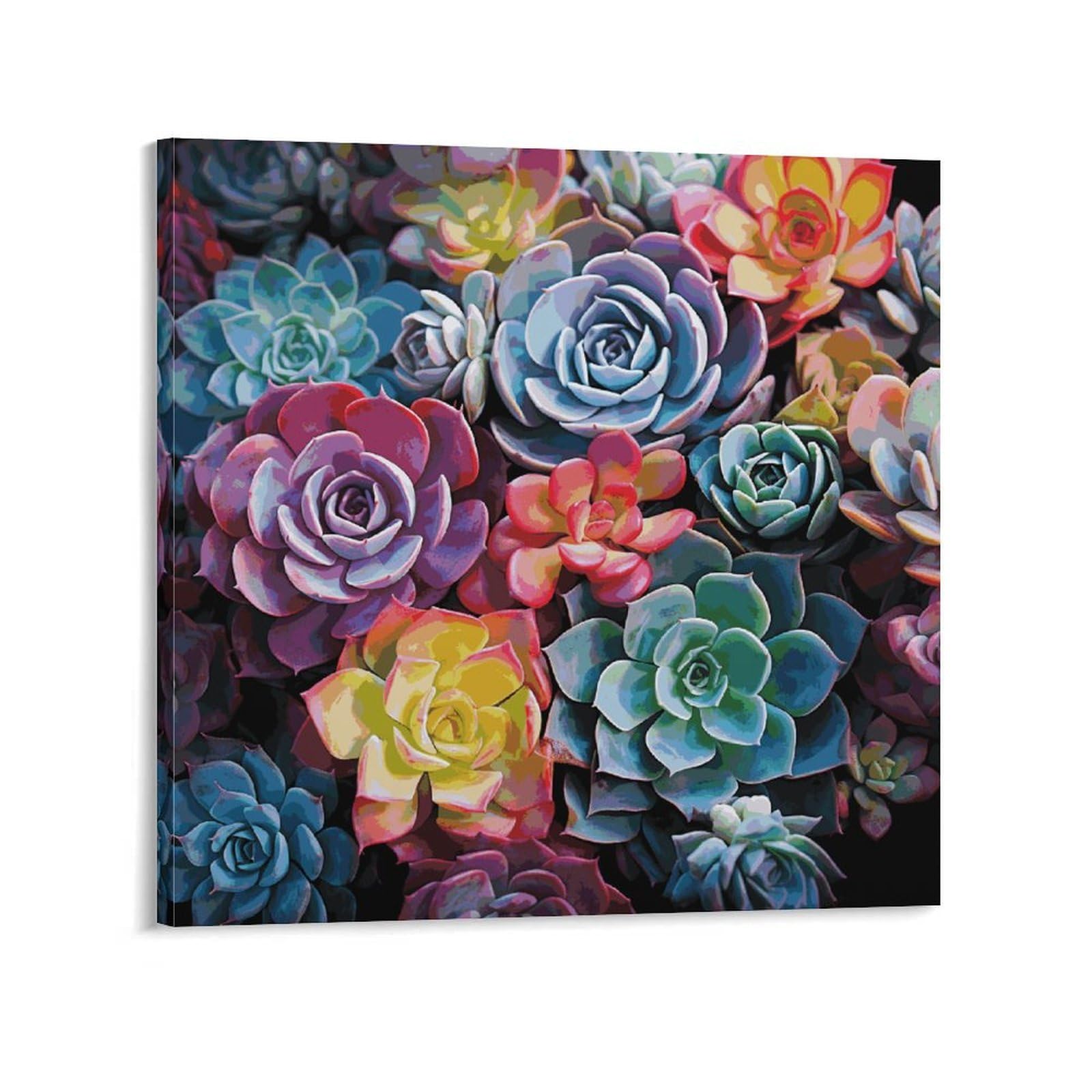 KLOPH Colorful Succulent Canvas Wall Art for Living Room 10x10inch Modern Artwork Painting for Bathroom Hanging Canvas Prints Aesthetic Wallart for Bedroom Kitchen Office Wall Decor