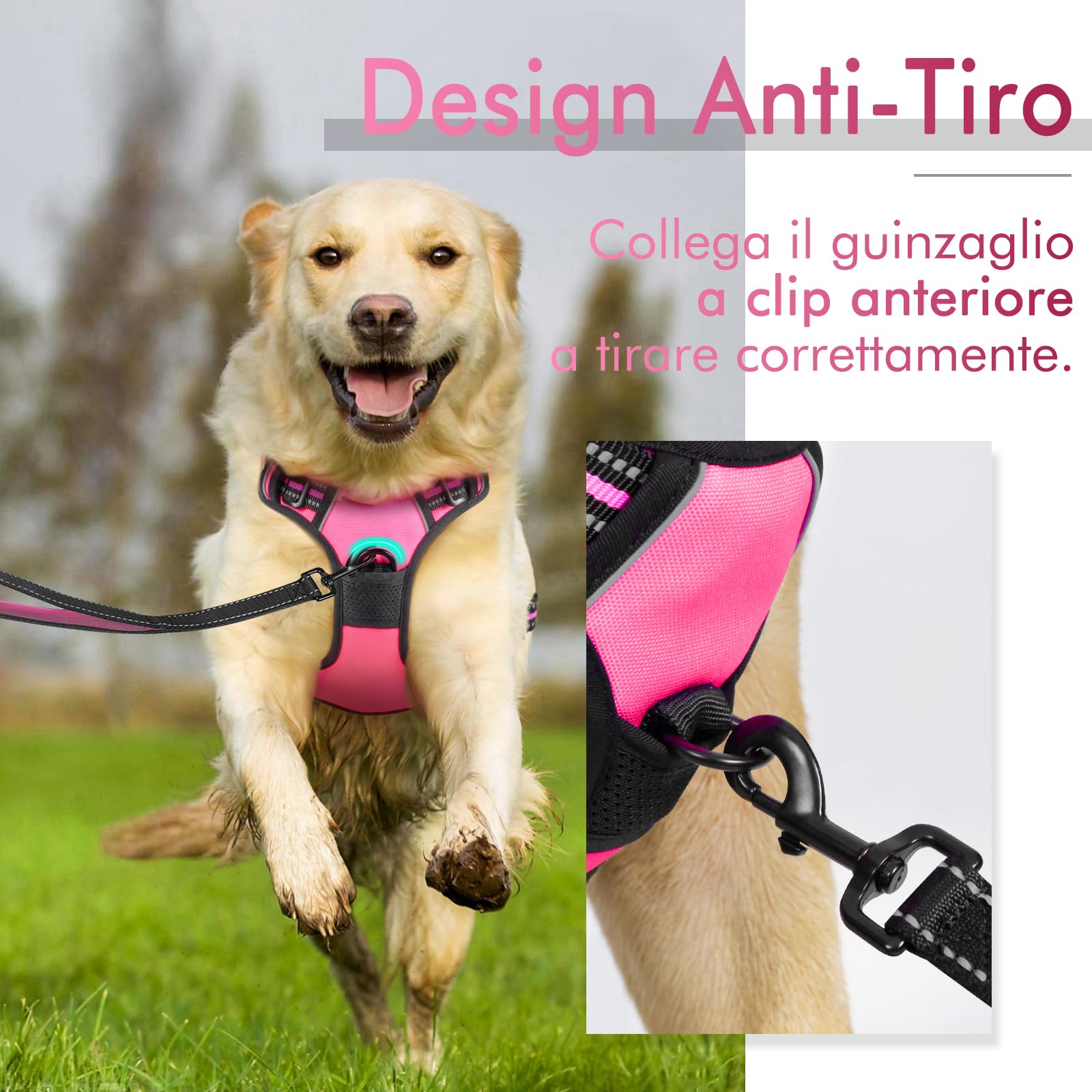 rabbitgoo Pettorina Cane Taglia Piccola, Pettorina Cane ad h Regolabile con 2 Ganci in Metallo, Imbracatura per Cani Anti Tiro Riflettente, Imbracatura Traspirante per Addestramento, Rosa Rosso, S