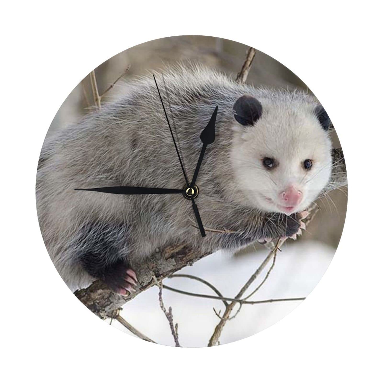 ASEELO Opossum in Snow Wall Clocks for Living Room Decor Round Wall Clock 10 Inches, Silent No Ticking Clock