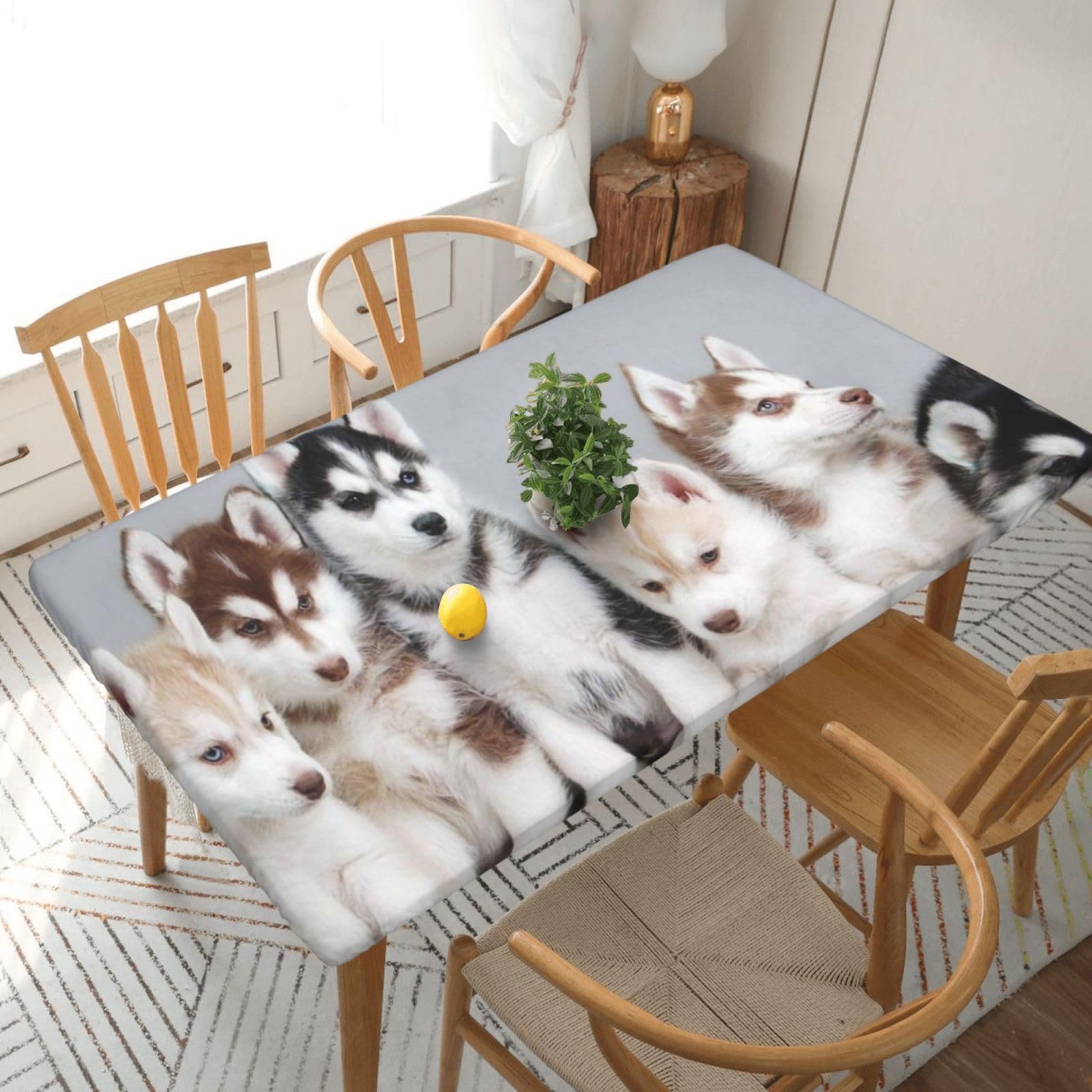 DCEHGEW Elastic Fitted Rectangle Tablecloth for 5ft Tables, Husky Puppies Dogs Printed Oilproof & Washable Fabric Picnic Table Cloth Table Covers