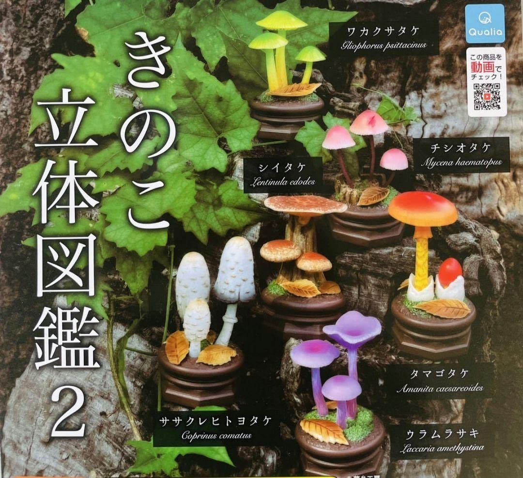 キノコキノコ　全巻　セット きのこ立体図鑑2 | Qualia