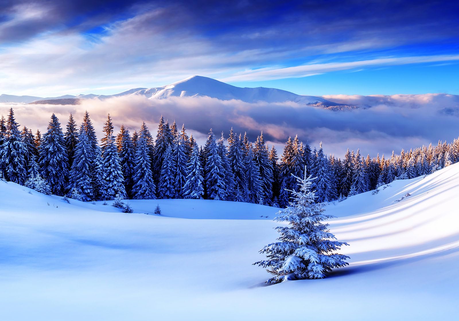 Papier Peint Panoramique Hivernal Montagne Forêt 350X245cm