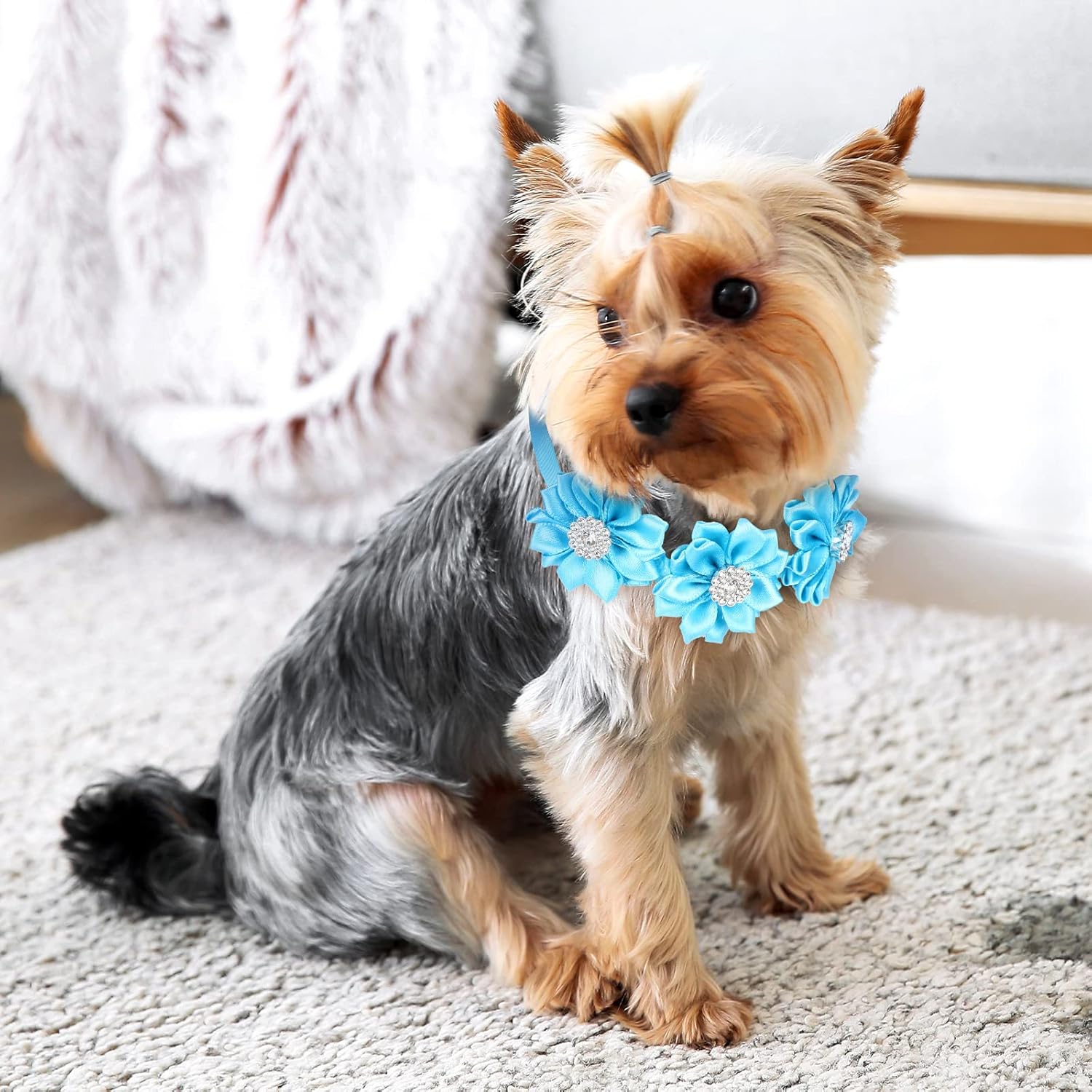 Jexine 60 Pieces Dog Bow Ties for Dogs with Adjustable Collar Cats Bowties Puppy Collar Grooming Accessories for Small Medium Pet Puppy Cats Wedding Birthday Gift Party
