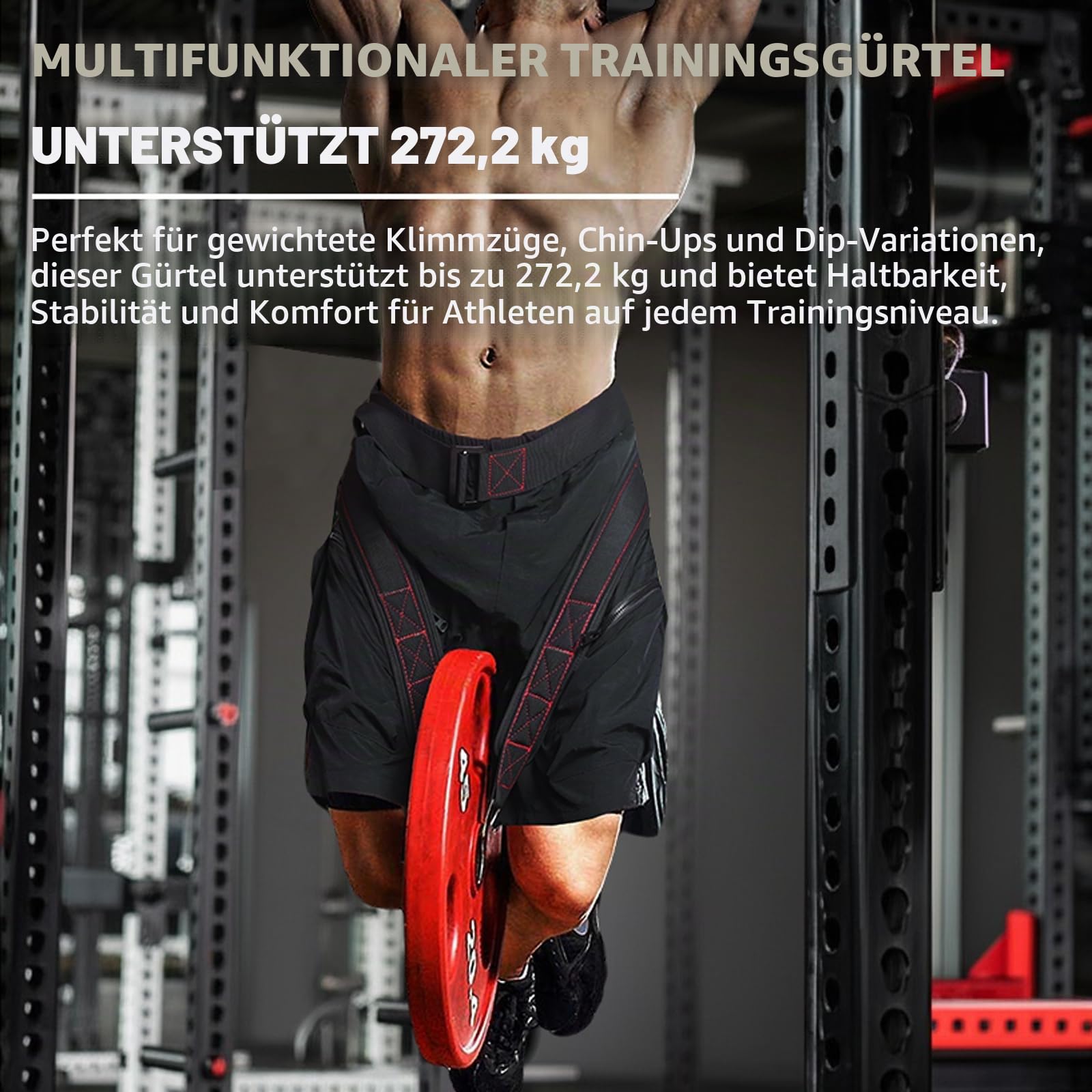 Belt for Belt Squat Dip Belt Weighted Pull Up, Heavy Duty with Structured Back Support and Squat Machine Compatible