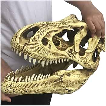 ティラノサウルス 頭部 化石　模型 ティラノサウルス 頭部 化石 模型 25センチクラス！迫力ある