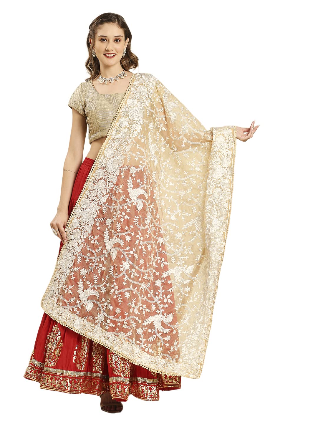 Women's Beige Parsi Gara Work Embroidered Organza Dupatta-image-7
