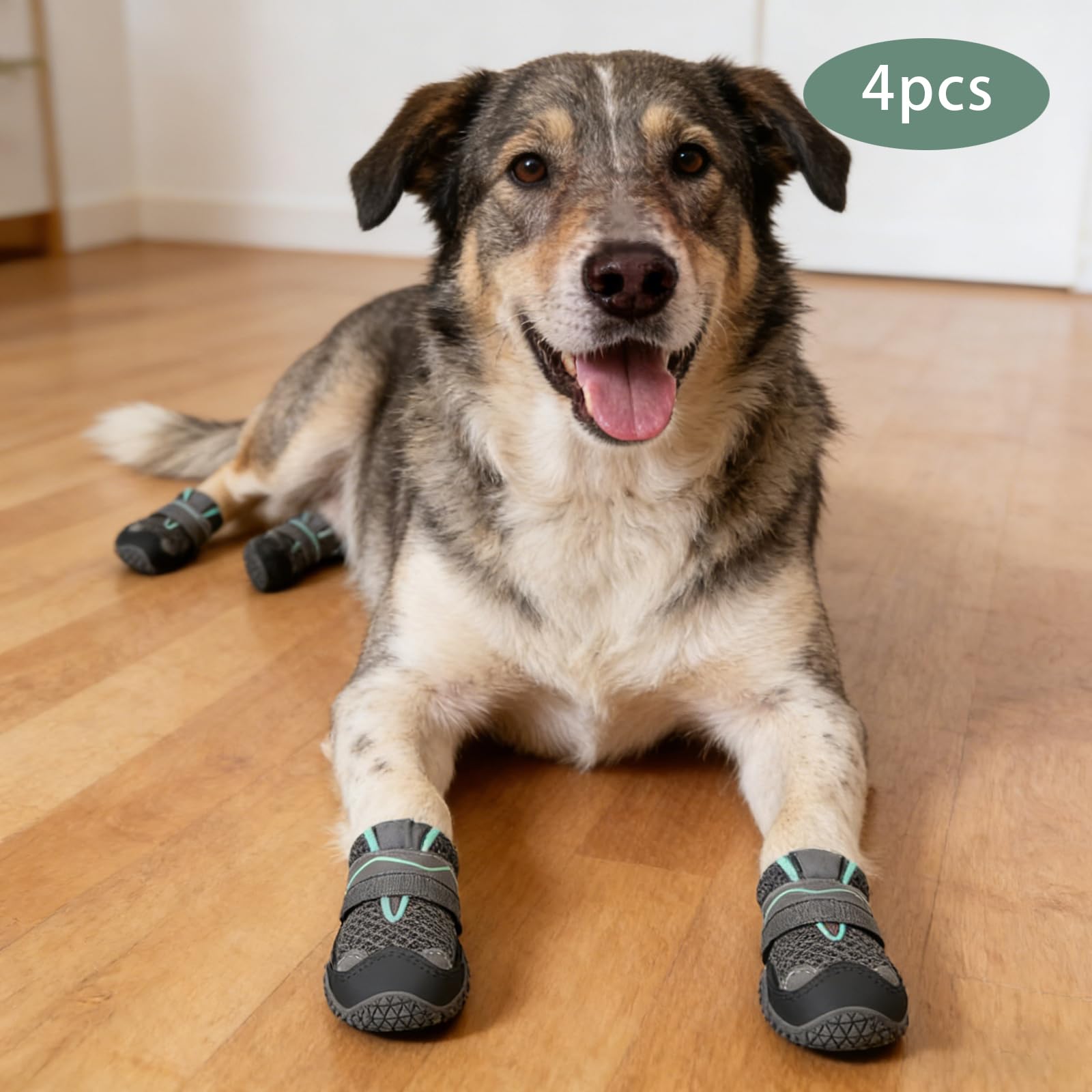 Calzini antiscivolo per cani, scarpe da cane, 4 pezzi, 5,5 cm | Stivali Cane,Poliestere Pelle Gomma,con Strisce Riflettenti Traspirante,Per Passeggiata,Cani Piccoli,Cani Medii